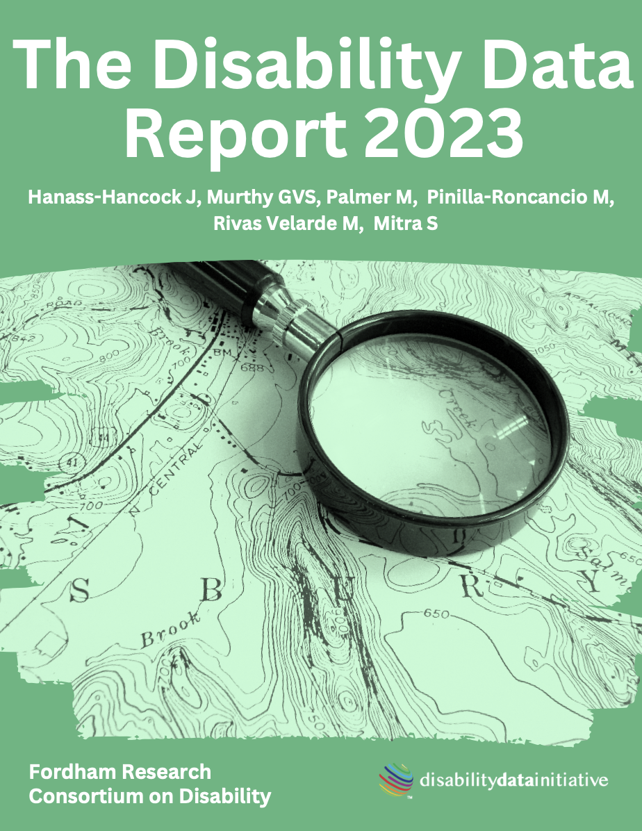 Disability Data Initiative 2023 Report Cover