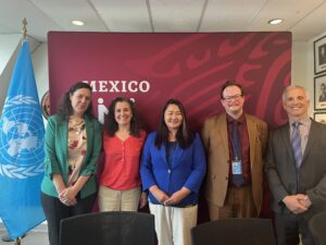 Five panelists stand beside the United Nations and Permanent Mission of Mexico flags at a side event. From left to right are Elizabeth Lockwood, Sophie Mitra, Dulamsuren Jigjid, Iiro Toikka, and Daniel Mont.